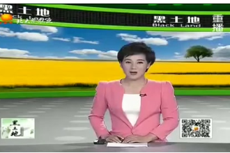 生豬養殖效益如何再提升？抓好這三個時期很重要