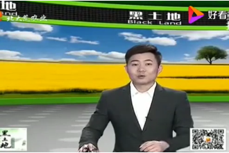懷孕<em>母豬</em><em>的</em><em>飼養</em><em>管理</em>