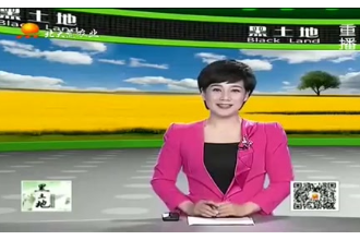 <em>母豬</em>妊娠期<em>的</em><em>飼養</em>和<em>管理</em>方法