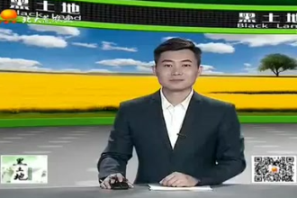 生豬養殖<em>需要</em><em>注意</em><em>的</em>要點都有<em>哪些</em>？這幾個方面很重要