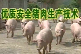 優質安全豬肉生產技術 1
