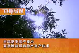 夏季肉雞和蛋雞<em>高產(chǎn)</em>飼養(yǎng)<em>管理</em><em>技術(shù)</em> (上集)