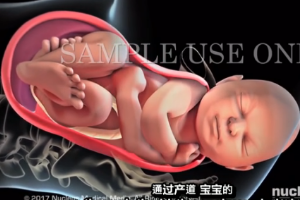 了解分娩<em>的</em><em>三個</em>階段