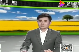 養豬寶典：后備母豬的飼養管理