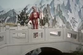 豫劇《花槍緣》