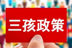 盤點人大代表關(guān)于三孩政策的建議