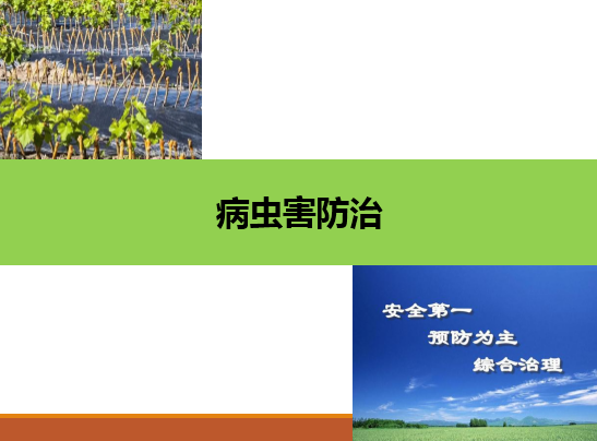 <em>園藝</em>技術<em>專業</em>：《<em>果樹</em><em>生產</em>創新模塊—病蟲害防治》<em>課程</em><em>思</em>政<em>案例</em>