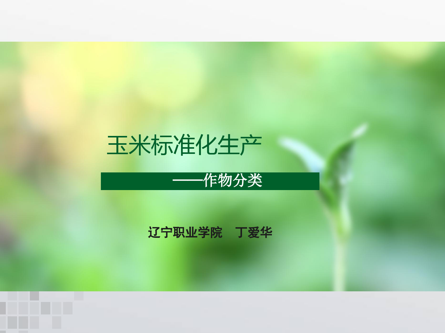 <em>課件</em>：<em>作物</em><em>生產</em><em>與</em><em>經營管理</em><em>專業</em>《玉米標準化<em>生產</em>—<em>作物</em>分類》