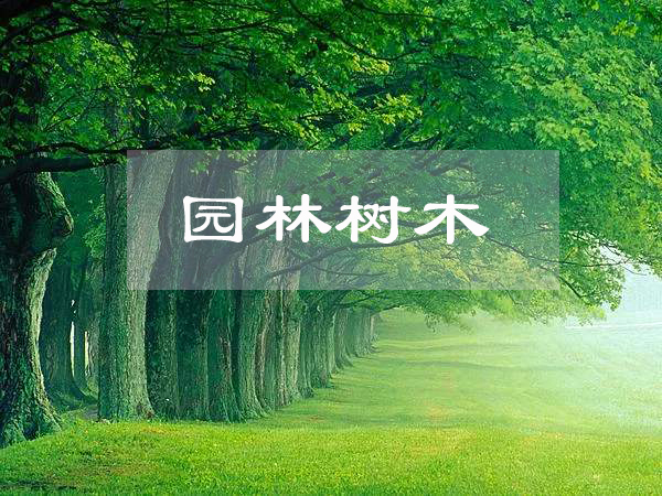 <em>園林</em><em>工程技術(shù)</em>、<em>園林</em>技術(shù)<em>專業(yè)</em>：《<em>園林</em><em>樹木</em>》<em>課程</em><em>思</em><em>政</em><em>課堂教學(xué)</em><em>設(shè)計</em>