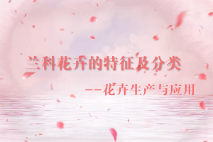<em>微</em><em>課</em>：<em>園林</em><em>技術(shù)</em><em>專(zhuān)業(yè)</em>《<em>園林</em><em>花卉</em>—蘭科<em>花卉</em>的特征<em>及</em>分類(lèi)》