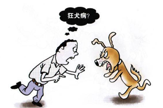 帶你了解<em>狂犬病</em>