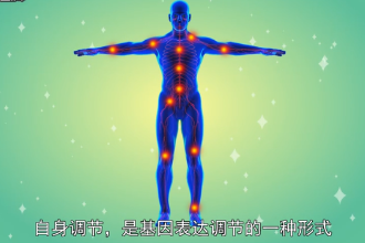<em>自身</em>調節—基因表達調節形式