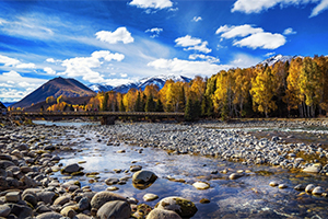 <em>定制</em><em>旅行</em><em>管理</em><em>與</em><em>服務</em><em>專業(yè)</em>：《<em>旅游</em><em>市場營銷</em>》課程<em>思</em><em>政</em>案例