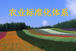 <em>課件</em>：<em>作物</em><em>生產</em><em>與</em><em>經營管理</em><em>專業</em>《農業標準化》