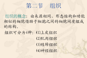 <em>課件</em>：中獸醫專業《動物<em>解剖</em><em>生理</em>—組織》