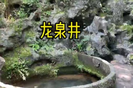 杭州西湖鳳篁嶺有一龍井<em>泉</em>，古老又神秘，被人們譽為天下第三<em>泉</em>
