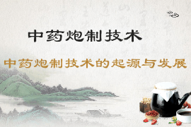 課件：中藥學(xué)專業(yè)《中藥炮制學(xué)—中藥炮制技術(shù)—中藥炮制技術(shù)的起源與發(fā)展》