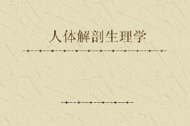 <em>課件</em>：<em>藥學</em><em>專業</em>《人體解剖生理學》