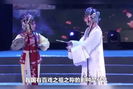 我國有百戲之祖之稱的劇種是什么？
