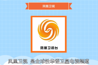 鳳凰衛(wèi)視—<em>全球</em>性華語衛(wèi)星電視頻道