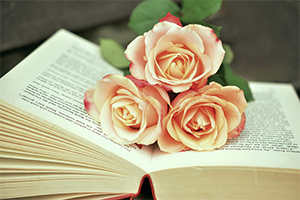 <em>英語專業</em>：《<em>高級</em><em>英語</em><em>I</em>—黑人尋根與文化自信》<em>課程</em><em>思</em><em>政</em>案例