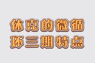休克<em>的</em>微<em>循環(huán)</em>三期特點