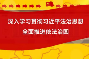微動漫  “十一個堅(jiān)持”<em>推進(jìn)</em><em>全面</em><em>依法治</em>國