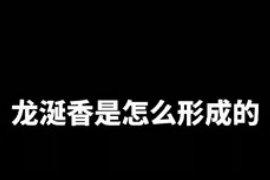 龍涎<em>香</em>是怎么形成的你知道嗎？