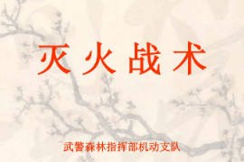 <em>課件</em>：消防<em>指揮</em><em>專業(yè)</em>《滅火<em>戰(zhàn)術(shù)</em>—概念》