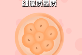 一分鐘了解細(xì)胞質(zhì)基質(zhì)（胞漿）