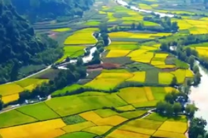 芒種<em>不</em>種再種無用，千萬別小瞧了<em>這個</em>節氣，蘊含人生大智慧