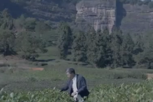 王順明是誰？懂茶<em>的</em><em>都</em><em>知道</em>！