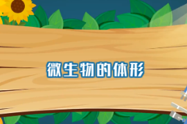 帶你了解微生物的體形