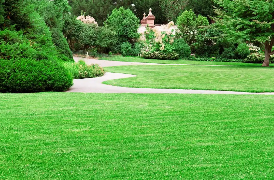<em>課程標準</em>：<em>園林</em><em>工程技術</em><em>專業</em>《草坪建植與養護》<em>課程標準</em>