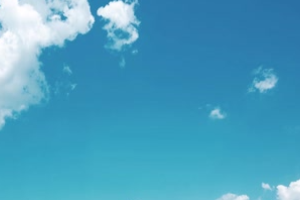 <em>微</em><em>課</em>：<em>園林</em><em>工程技術</em><em>專業</em>《<em>園林</em><em>植物</em><em>造</em><em>景</em>—<em>植物</em><em>造</em><em>景</em>》