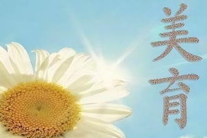 河北水利電力學(xué)院<em>美育</em><em>工作</em><em>實(shí)施方案</em>