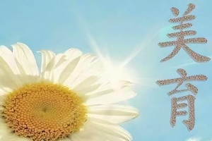 三峽大學(xué)新時(shí)代大學(xué)生<em>美育</em>教育<em>實(shí)施方案</em>