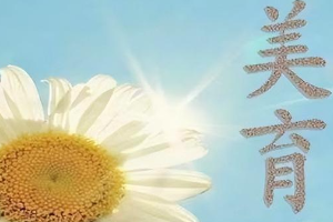 中國民航大學美育工作<em>實施</em>方案