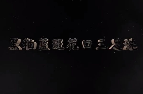 <em>中華</em><em>傳統文化</em>—黑釉藍斑花口三足<em>洗</em>