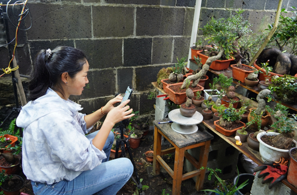 “<em>90</em><em>后</em>”巾幗<em>新</em><em>農人</em>樊富芝：帶領鄉親們走“花路”