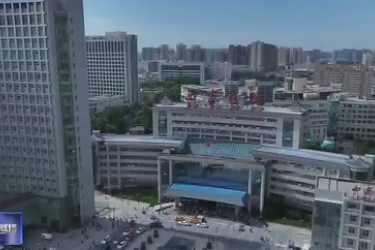 陜西省實施亞洲<em>首例</em><em>基因</em><em>編輯</em>豬—終末期腎病患者異種腎移植