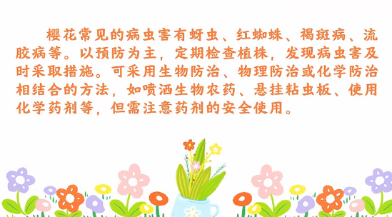 櫻花病蟲害防治<em>小</em><em>技巧</em>